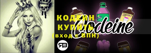 стаф Зерноград