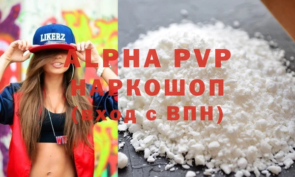 ешки Инта