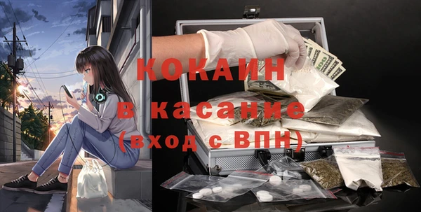 стаф Зерноград