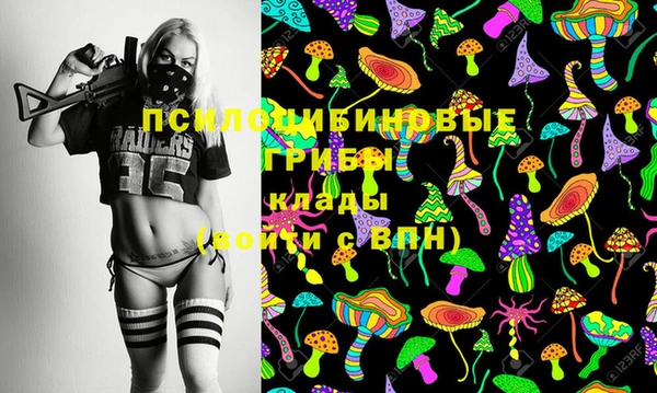 СК Инсар