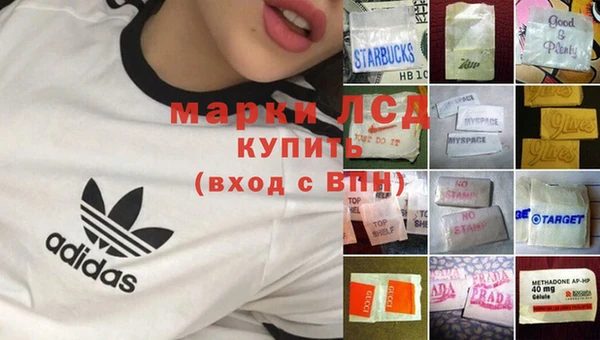 ешки Инта
