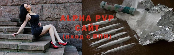 СК Инсар