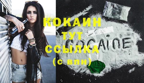 шишки Зеленодольск