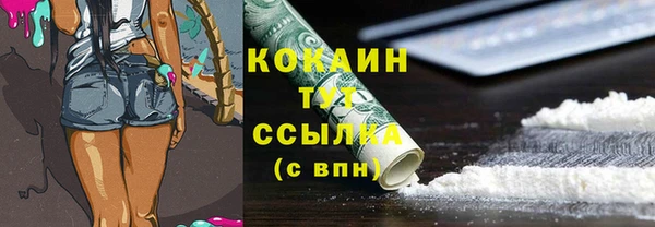 ешки Инта