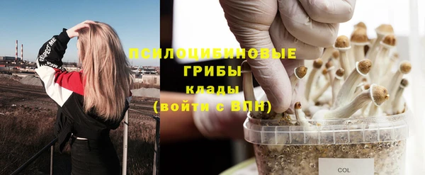СК Инсар