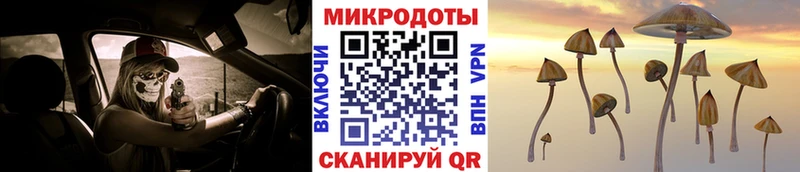 Галлюциногенные грибы Psilocybe  закладки  Камышин 